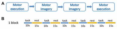 Suppressing Systemic Interference in fNIRS Monitoring of the Hemodynamic Cortical Response to Motor Execution and Imagery